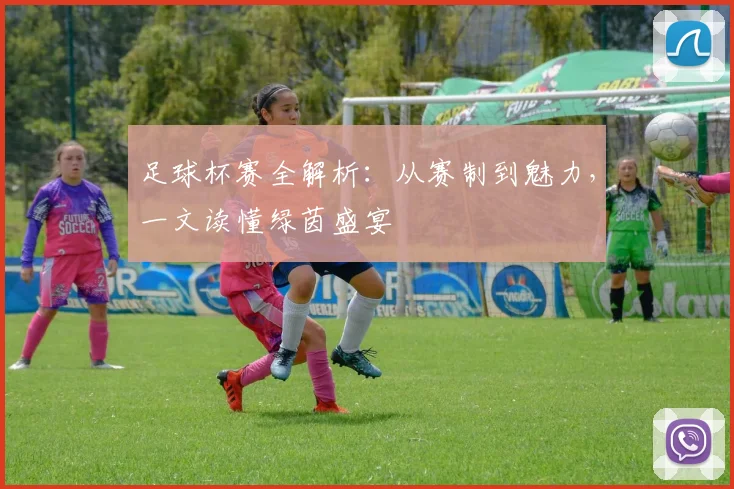 足球杯赛全解析:从赛制到魅力,一文读懂绿茵盛宴