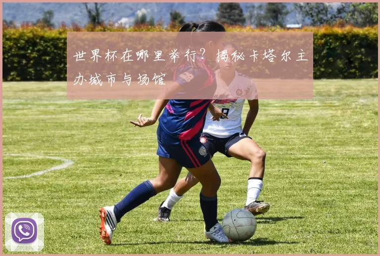 世界杯在哪里举行？揭秘卡塔尔主办城市与场馆